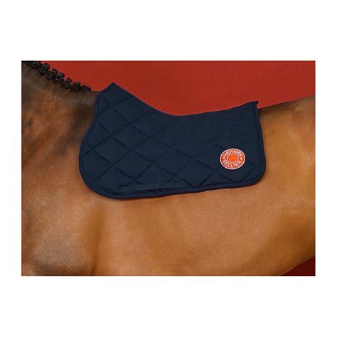 tapis de cheval hermes|equipement équitation hermes.